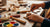 Creative Kids Wood Projects: A Hands-On STEM Adventure