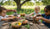 Creative Outdoor Activity Ideas for Every Toddler