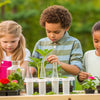 Creative STEM Plant Activities for Kids