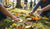 Creative Toddler Nature Activities for Outdoor Learning