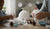 Creative Toddler Winter Craft Ideas for Indoor Fun