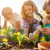 Cultivating Curiosity: Engaging Gardening STEM Activities
