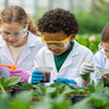 Cultivating Little Environmentalists: Hands-On Pollution STEM Activities