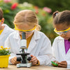 Design a Pollen Collector STEM Activity