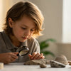 Digging Deep: A Fun Fossil STEM Activity at Home