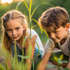Discovering Plant Stems: Fun Activities for Kids