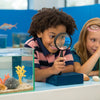 Dive into Fun: Under the Sea STEM Activities