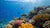 Dive into Learning: A Coral Reef STEM Activity Guide