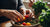 Easy and Healthy Toddler Christmas Snack Recipes