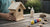 Easy Birdhouse Craft for Kids: Fun DIYs for Nature's Friends