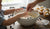 Easy Blueberry Muffins Toddler Will Love