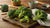Easy Broccoli for Kids: Delicious Recipes They'll Actually Love