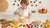 Easy & Fun No Bake Recipes for Kids