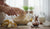Easy Oatmeal Banana Muffins Toddler Families Love