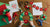 Easy Poinsettia Crafts for Kids: Festive Fun