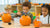 Engaging Pumpkin STEM Activities for Preschoolers