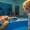 Engaging Sea Turtle STEM Activities for Kids