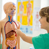 Explore the Human Body: Fun STEM Activities for Kids