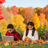 Fall STEM Activities for 5th Grade: Discovering Science, Math, and Engineering Through Autumn Fun