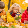 Fall STEM: Igniting Curiosity with Autumn Activities