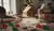 Festive Christmas Cookie Ideas for Kids