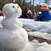 Fizzing Fun: A Melting Snowman STEM Activity