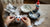 Fluffy Feathers & Frosty Fun: Your Guide to a Snowy Owl Craft for Kids