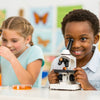 Flutter into Learning: Engaging Butterfly STEM Activities for Kids