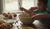 Fuel Their Day: Homemade Protein Muffins for Kids