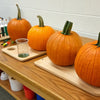 Fun 5 Little Pumpkins STEM Activity for Kids