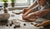 Fun and Easy Gingerbread Cookie Recipe for Kids