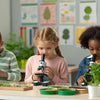 Fun Biology STEM Activities for Curious Kids
