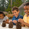 Fun Pine Cone STEM Activities for Kids