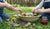 Fun Toddler Outside Activities for Creative Learning