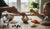 Good Foods for Toddler With Diarrhea: A Helpful Guide