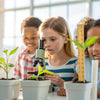 Grow Curiosity: Engaging Plant STEM Activities for Kids