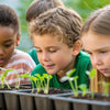 Grow & Learn: Hands-On Life Cycle STEM Activities for Curious Kids