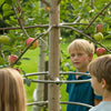Grow Learning: An Engaging Apple Tree STEM Activity for Kids