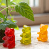 Grow & Shrink: A Gummy Bear STEM Project
