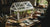Grow Wonder: Your DIY Greenhouse STEM Project