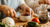 Hands-On Farm Projects for Kids: Learn and Play