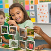 Hands-On Fun: A Food Chain STEM Activity Guide