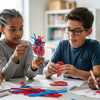 Hands-On Heart STEM Projects for Curious Kids