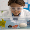 Hands-On Sink or Float STEM Activity for Young Scientists