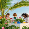 Hawaiian STEM Adventures: Learning Through Tropical Fun