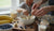 Healthy Banana Blueberry Oatmeal Muffins for Toddlers