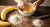 Healthy Banana Pancakes Toddler Recipe: Fun Kitchen STEM