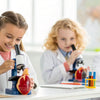 Heart STEM Activities: Hands-On Science for Kids