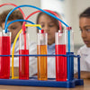 Heartbeat Heroes: Circulatory System STEM Activities
