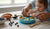 How to Handle Toddler Throwing Food with Practical Strategies